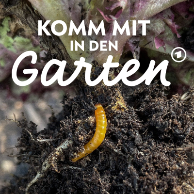 episode Wer durchlöchert mein Gemüse? Drahtwürmer loswerden artwork
