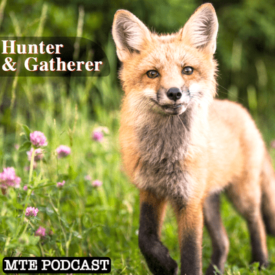 episode Hunter & Gatherer artwork