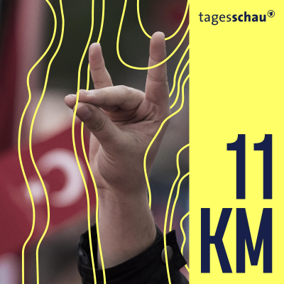 episode Graue Wölfe: Wie türkische Rechtsextreme in Deutschland agieren artwork