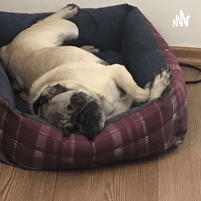 Imagen de portada del espectáculo María de Jesús Martínez Castillo