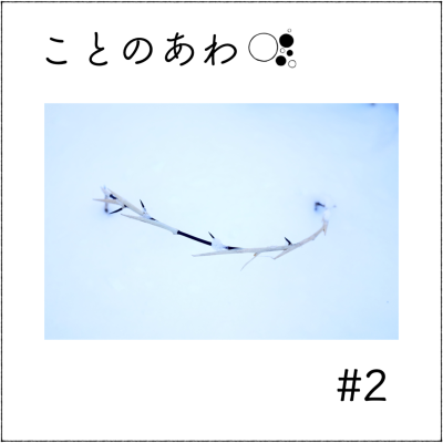 episode 雪中微生物とセッケイカワゲラと酵素と、マイクの話oO artwork