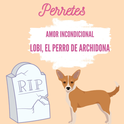 episode Amor incondicional artwork