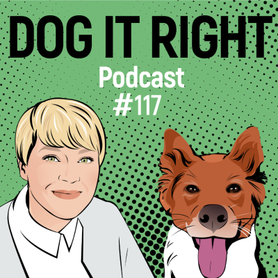episode #117: Silvester ohne Stress: So sieht eure perfekte Routine aus artwork