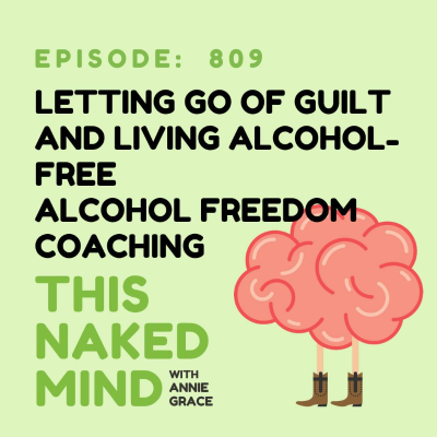 episode Letting Go of Guilt and Living Alcohol-Free | Alcohol Freedom Coaching | E809 artwork