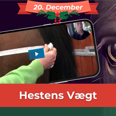 episode HESTENS VÆGT (20. dec) Sådan sikrer du dig at hestens medicinering er korrekt og opdager, hvis hesten ændrer vægt artwork