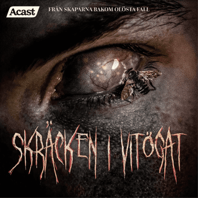episode 8. När skenet bedrar artwork