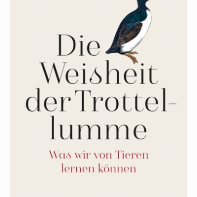 episode [Podcast] Die Weisheit der Trottellumme von Florian Werner - Philosophie im Federkleid – Was wir von Tieren über das Leben lernen können artwork