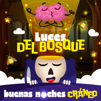 episode Luces del bosque (asombro) artwork