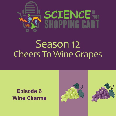 episode Season 12: Cheers To Wine Grapes | Episode 6: Wine Charms artwork