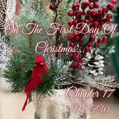 episode On The First Day Of Christmas... [A Drarry Podfic] Chapter 17 NSFW artwork