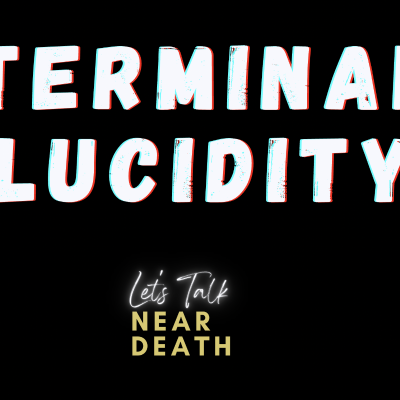 episode Terminal Lucidity artwork