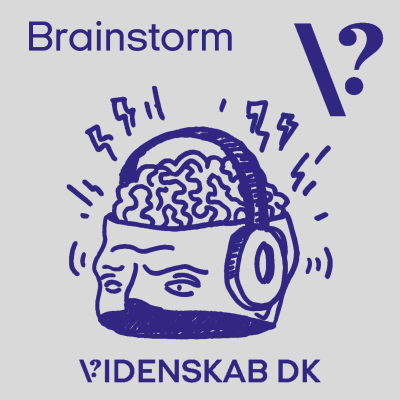 Brainstorm