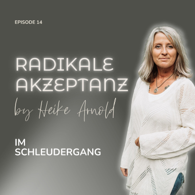 episode Im Schleudergang artwork