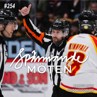episode #254 Marcus Linde, ishockeydomare artwork