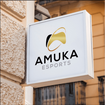 episode The One about Amuka Esports and a 16-year-old Fortnite Player artwork