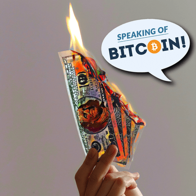 episode SOB #463 - Dogecoin, Crack-up Booms and the Modern Mania artwork