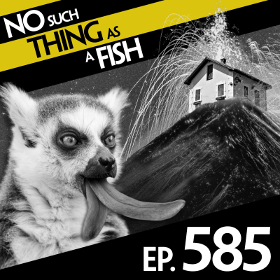 episode 585: No Such Thing As The Paula Radcliffe Of F1 Racing artwork