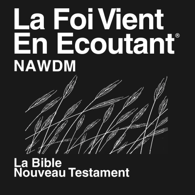 Nawdm Bible (no dramatisé)