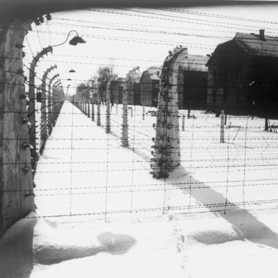 episode Eighty years on: honouring memory, upholding humanity artwork