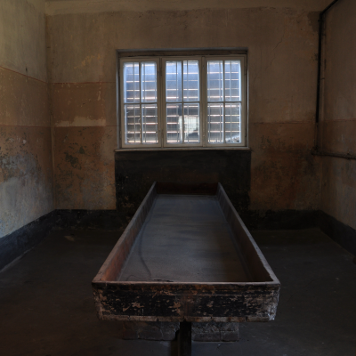 episode "O Auschwitz" (odc. 59): Blok nr 10 w Auschwitz I artwork