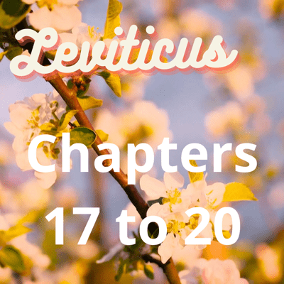 episode Leviticus Chapters 17 to 20 artwork