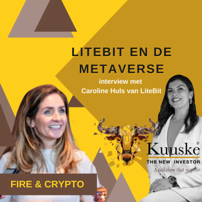 episode De Metaverse bij LiteBit artwork