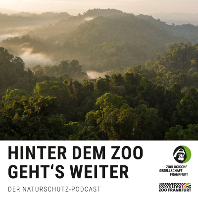 episode Nach mir die Wildnis: Ein Testament für Artenvielfalt artwork