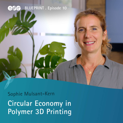 episode Circular Economy in Polymer 3D Printing artwork