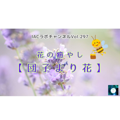 episode epi.116【団子より花？花の癒やし】 artwork