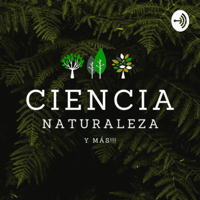 episode Recopilatorio 35 curiosidades artwork
