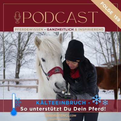 episode 🐴 Kälteeinbruch - So unterstützt Du Dein Pferd ❄ artwork