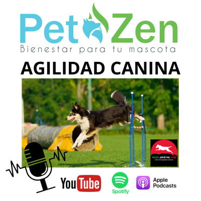 episode Agilidad Canina un super deporte artwork