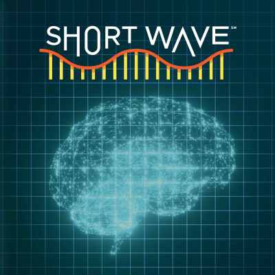 episode Could Mental Workouts Keep Your Brain Young? | NPR’s Short Wave artwork