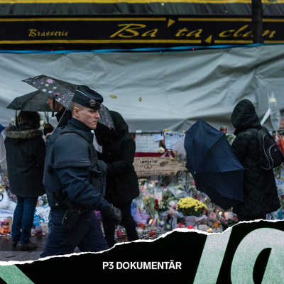 episode Ny: Terrordåden i Paris artwork