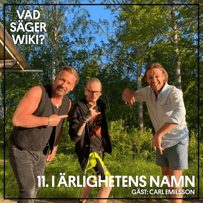 episode 11. I ärlighetens namn artwork