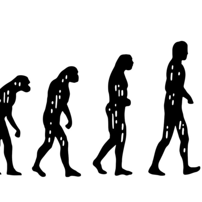 Peak Human Evolution