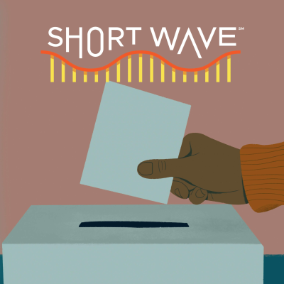 episode Elections: A Big Math Problem artwork