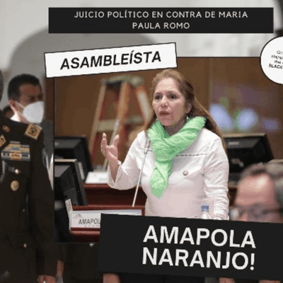 episode Amapola Naranjo artwork