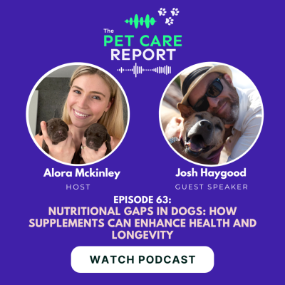 episode Nutritional Gaps in Dogs: How Supplements Can Enhance Health and Longevity | E63 artwork