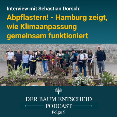 episode Abpflastern: Hamburg zeigt, wie Klimaanpassung gemeinsam funktioniert artwork