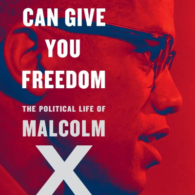 episode Why Malcolm X Said It Was "Already Too Late" in 1965 artwork