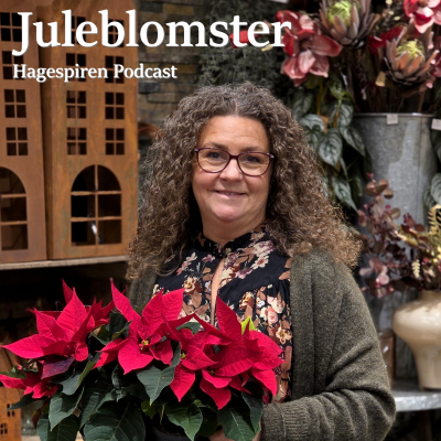 episode 49/24: Juleblomster med Merethe Hoff artwork