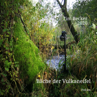 episode Folge 1: So klingt die Lieser artwork