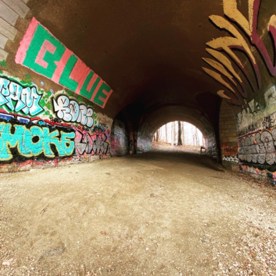 episode 1/2/2022 1pm - Wissahickon Trail artwork