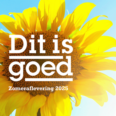 episode Zomeraflevering 2025: Wat kan je zien, lezen, doen en horen? artwork