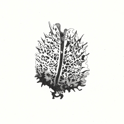 episode Part 3: The Abortion Pill, RU486 artwork