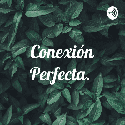 Conexión Perfecta.