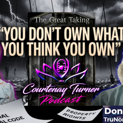 episode Ep.492: You Don't Own What You Think You Own w/ Don Grande |. Courtenay Turner Podcast artwork