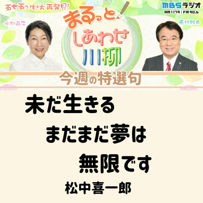 episode #54 線香花火 artwork