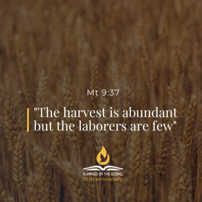 episode July 8th, 2025 - XIV Tuesday in Ordinary Time artwork